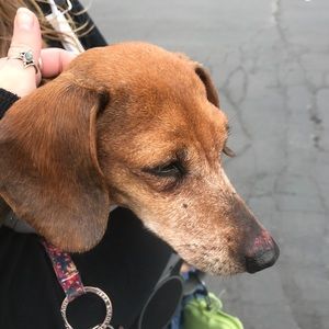 Meet your Posher, Kathryn